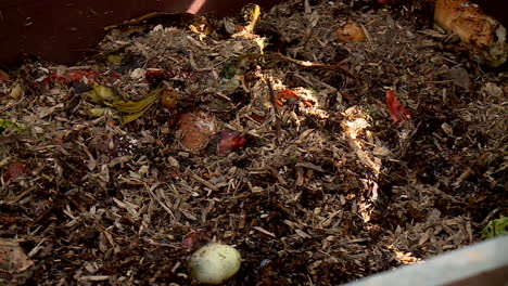 composting in a wooden bin