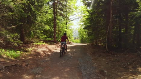 aerial dolly shot of the mountain bike rider in the woods