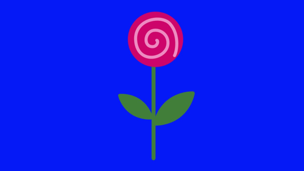 Animazione semplice e colorata di un singolo fiore rosa isolato su schermo blu in 4K
