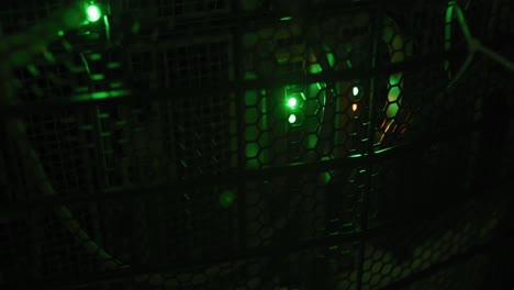 Close-up-of-green-control-lights-on-computer-servers-in-tech-room