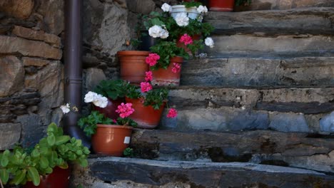 decorative plants and flowers in pots along some ancient, outdoor stairs