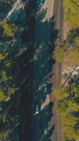 cars drive fast along busy road running across green pine tree forest lighted by bright warm sunshine bird eye view
