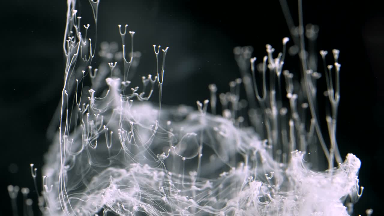 바탕에 물에 추상적인 검은 잉크.