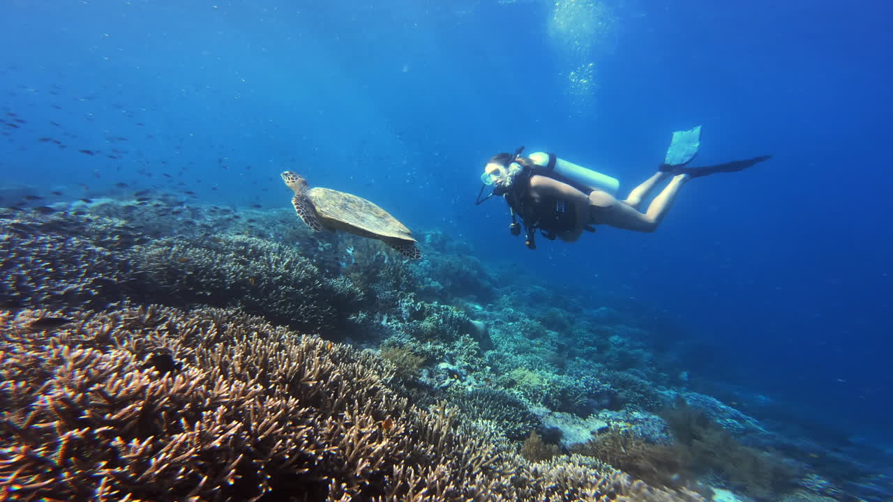 ¿a dónde quieres ir ahora?