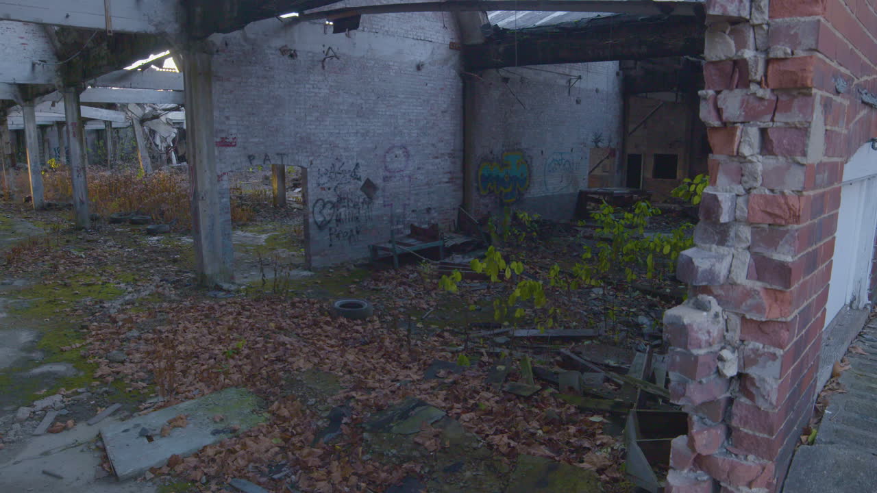 pequeños árboles que crecen dentro de un edificio industrial en ruinas en el noreste de ohio