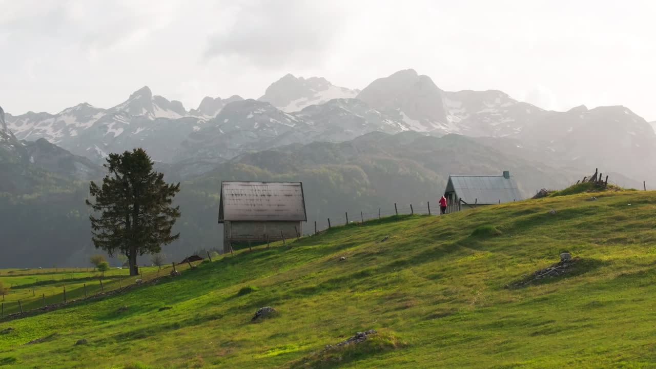 Woman run toward Zabljak Montenegro mountain in lush green meadow