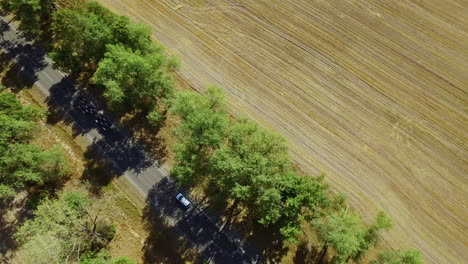 Aerial-view-cycling-race-on-countryside-highway-on-yellow-fields-landscape