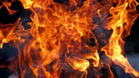 close up of blazing fire. burning fire in a fireplace close up