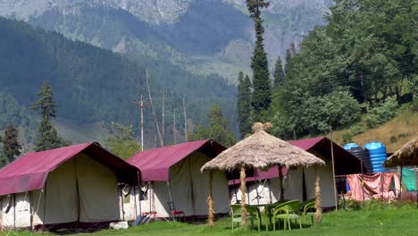 pahalgam: the scenic jewel of kashmir's verdant valleys, experience the breathtaking beauty of pahalgam's lush green meadows, surrounded by towering mountains and pristine rivers