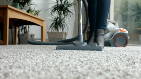 woman using the vacuum cleaner