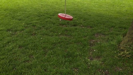 a deserted tree swing softly swinging in a light breeze