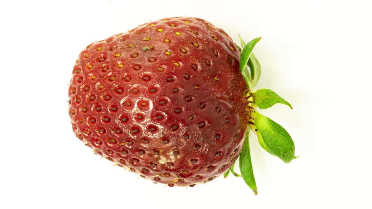 색 배경 위에서 는 딸기, 미생물 및 딸기에서 이 발달하는 시간 지연