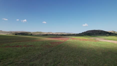 cloud shadow recedes across grassy landscape on windy day, aerial trucking pan