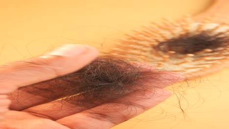 hair loss and damaged hair in hand