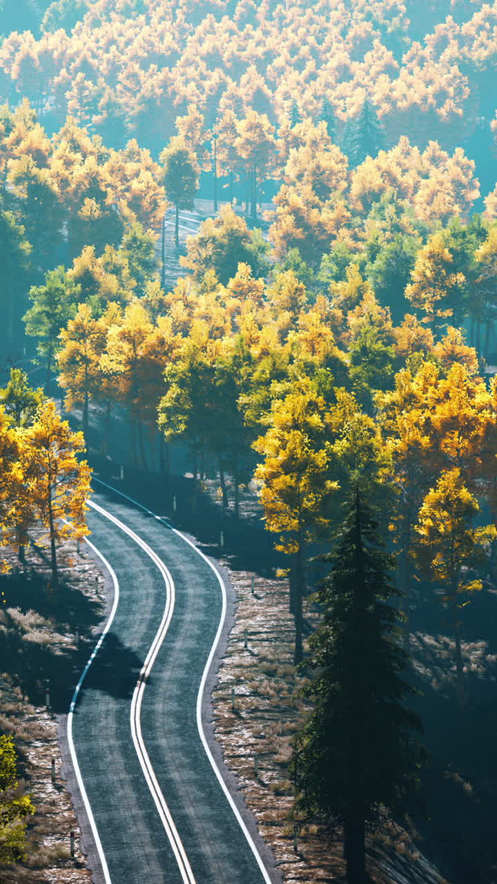 가을 에 숲 을 가로지르는 휘어지는 도로 의 공중 사진