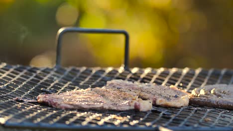 bbq grill braai smoke coming from the fire-1