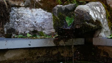 Agua-De-Escorrentía-O-Agua-De-Manantial-Lloviznando-Por-Un-Canalón-De-Piedra-En-El-Campo-De-España