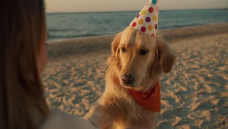 a fair-haired person strokes her light-colored dog in a festive cap. girl with a dog, festive morning