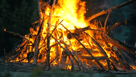 una gran fogata de ramas que arde por la noche en el bosque