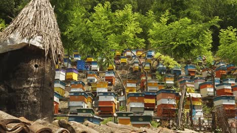 push shot of colourful bulgarian beehive on apiculture farm on hillside