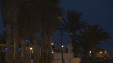 an aircraft landing behind palm trees