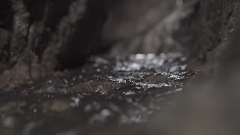 a closeup stationary shot of water flowing through a stream