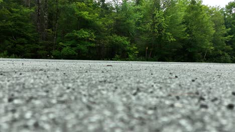 Aus-Einer-Straße-In-Den-Adirondacks-Herausfahren