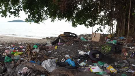 basura de plástico, botella, neumático, caja junto al árbol