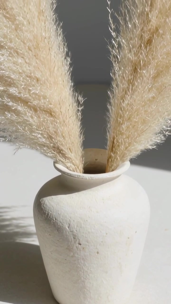 Vertical video: Moving camera revealing matte vase with pampas plumes on tabletop, showing texture