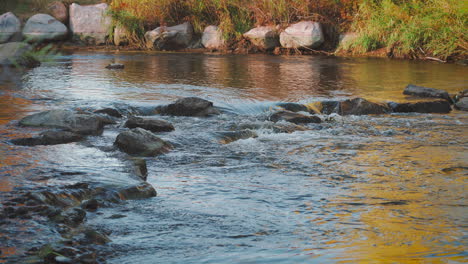 rushing river stream over rocks during autumn in forest