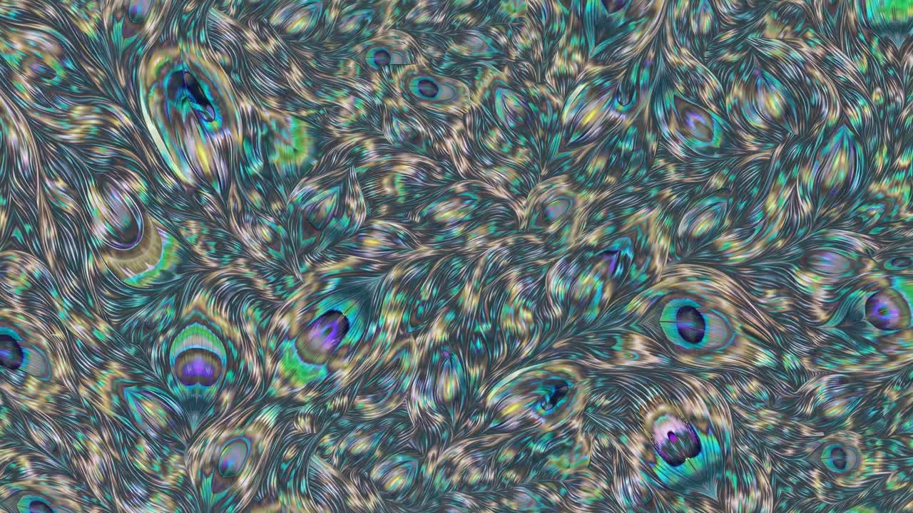 Abstract video concept featuring a swirling pattern of peacock feathers