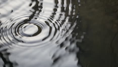 rain drops splashing into puddle