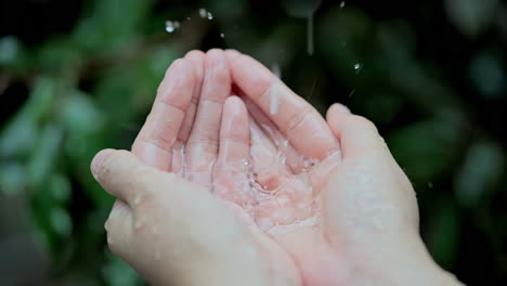 clean water in human hands