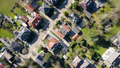 top down aerial of beautiful green suburban neighborhood