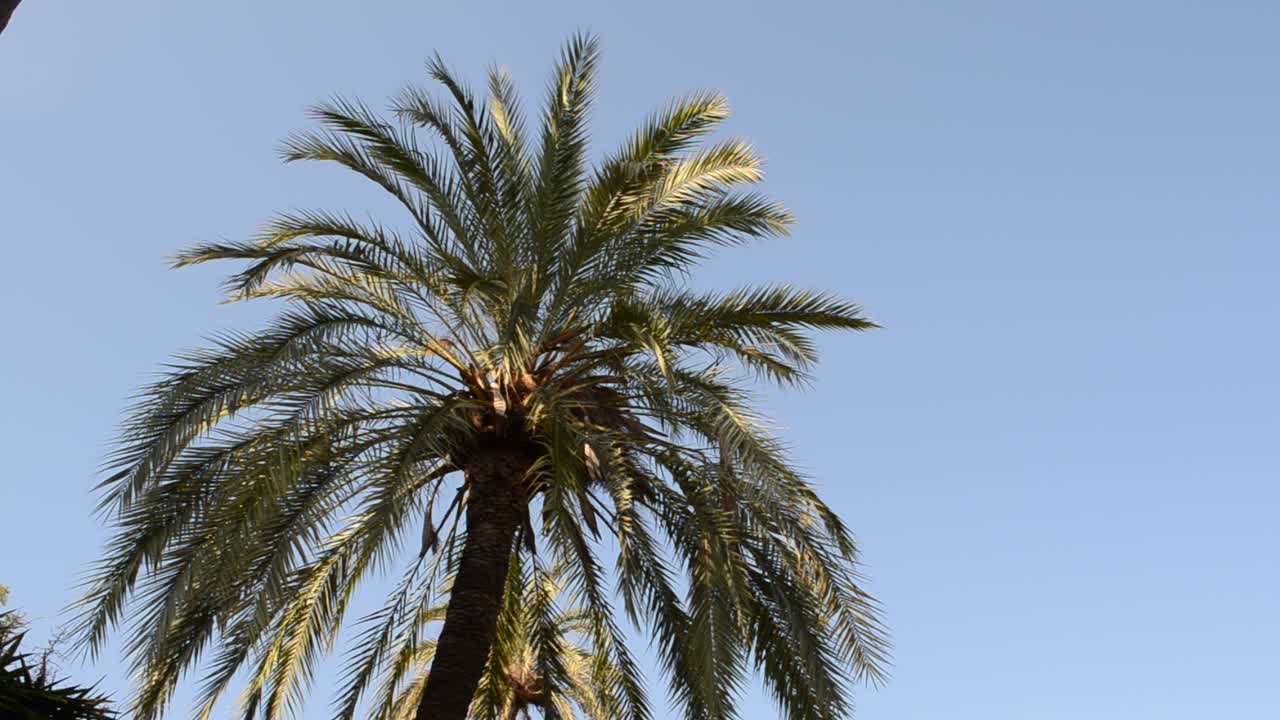 Barcelona ciudadela park