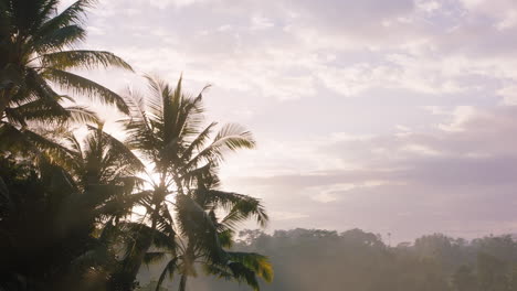 Glückliche-Frau,-Die-Bei-Sonnenaufgang-über-Dem-Dschungel-Schwingt.-Reisemädchen,-Das-Exotischen-Urlaub-Auf-Schaukel-Genießt,-Während-Die-Sonne-Durch-Palmen-Im-Tropischen-Regenwald-Scheint,-Urlaubslebensstil-Freiheit