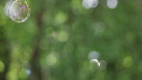 video 4k de burbuja de jabón en cámara lenta volando en el aire con un fondo de árbol verde fuera de enfoque.