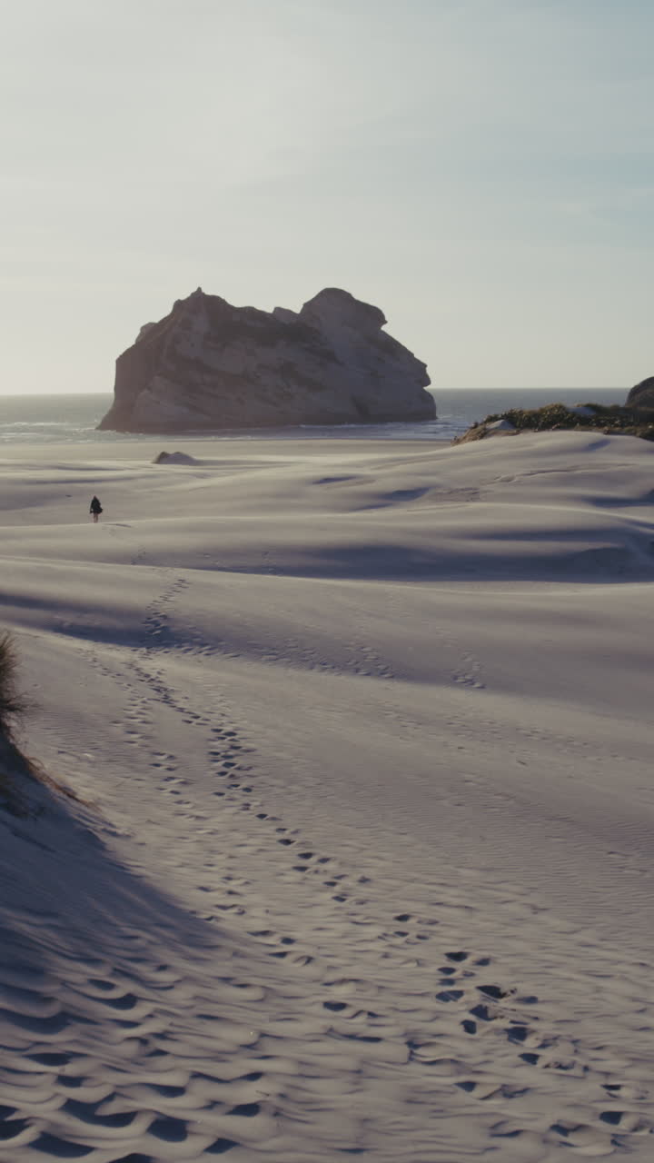 Coastal Sand Dunes with a Figure