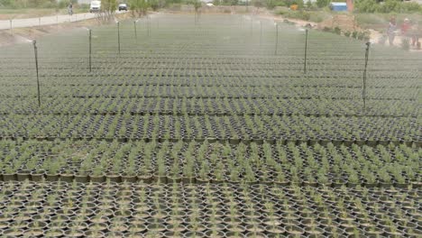 irrigated farmland.agricultural footage of industrial production.