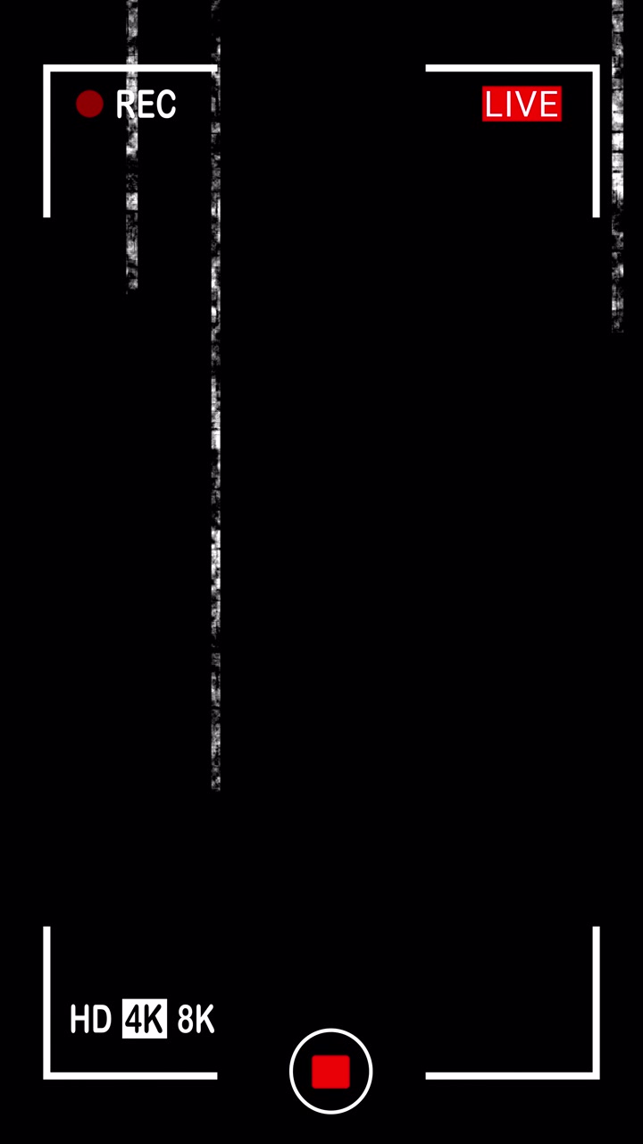 Digital Camera Recording Interface with Vertical Glitch Effect