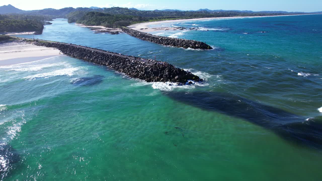 Vista aerea del fiume Brunswick con squali e banchi di esche nell'oceano a Brunswick Heads, Nuovo Galles del Sud, Australia - Scatto con drone