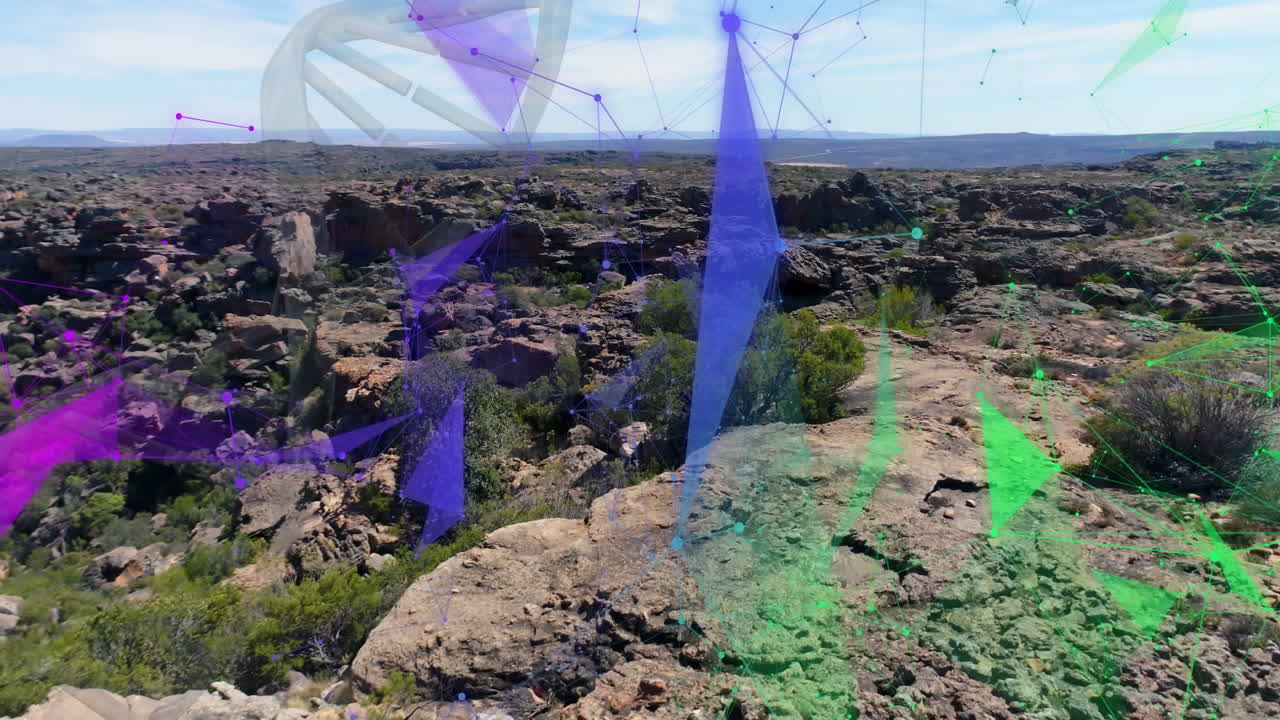 3D network overlaying rocky plateau with shrubs overlooking canyon, connecting purple green nodes