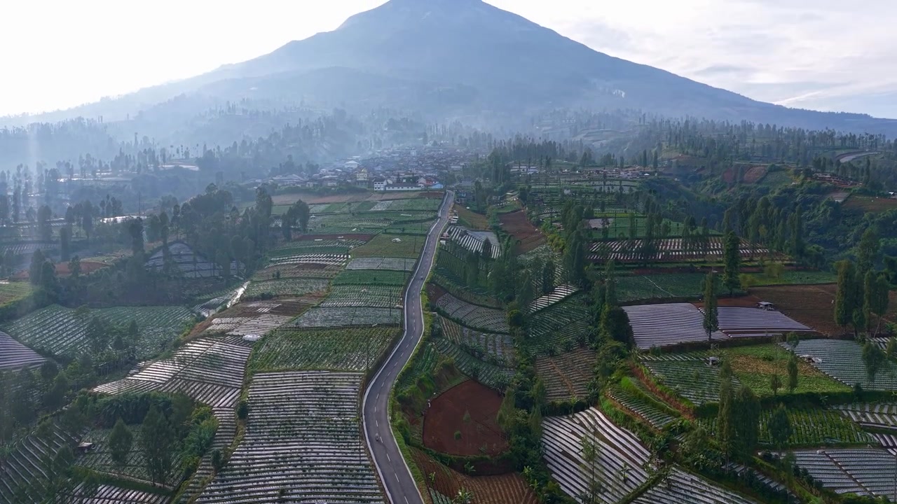 Pemandangan udara jalan yang melintasi perkebunan sayuran di lereng bukit. Lahan pertanian subur, pedesaan yang damai, ideal untuk tema pertanian dan perjalanan pedesaan