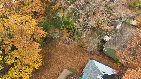 Tilting-down-to-show-a-roof-under-repair-in-fall