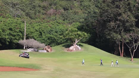 golfers playing on a sunny day