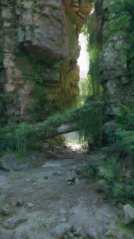 a scenic forest path surrounded by rocks