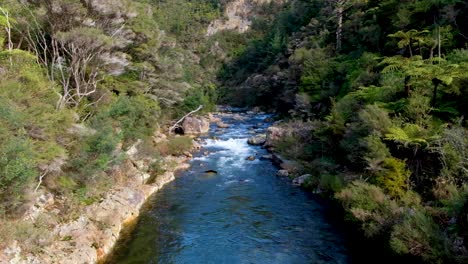 Scenic-view-of-the-Ohinemuri-River-lined-by-native-NZ-plants-and-trees-in-rural-countryside-of-North-Island-in-New-Zealand-Aotearoa