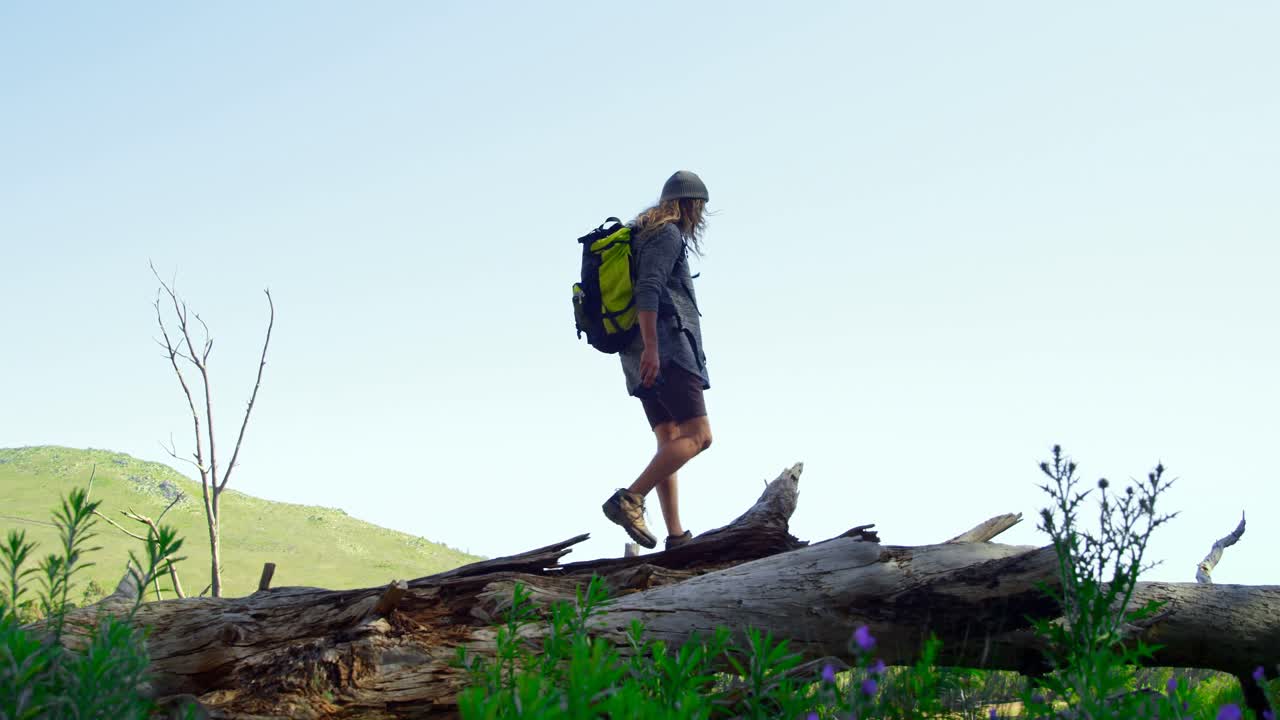 vista de bajo ángulo de un hombre caminando por el bosque 4k