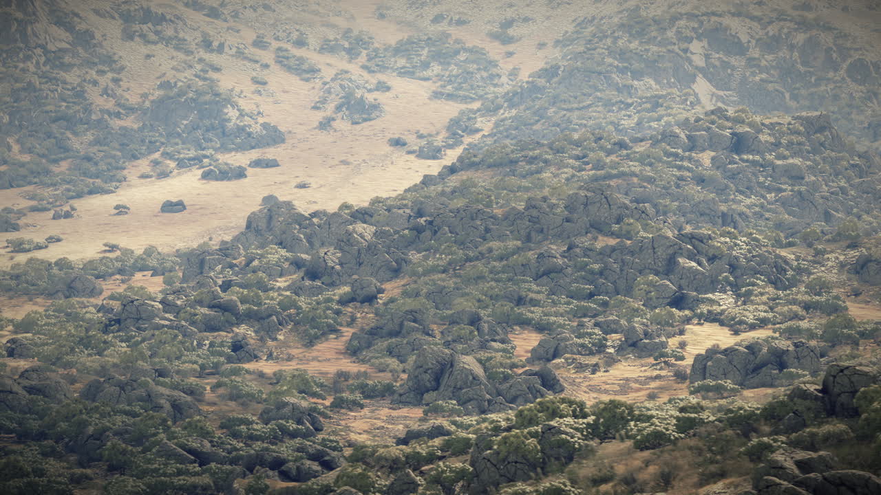vista aérea de un paisaje montañoso