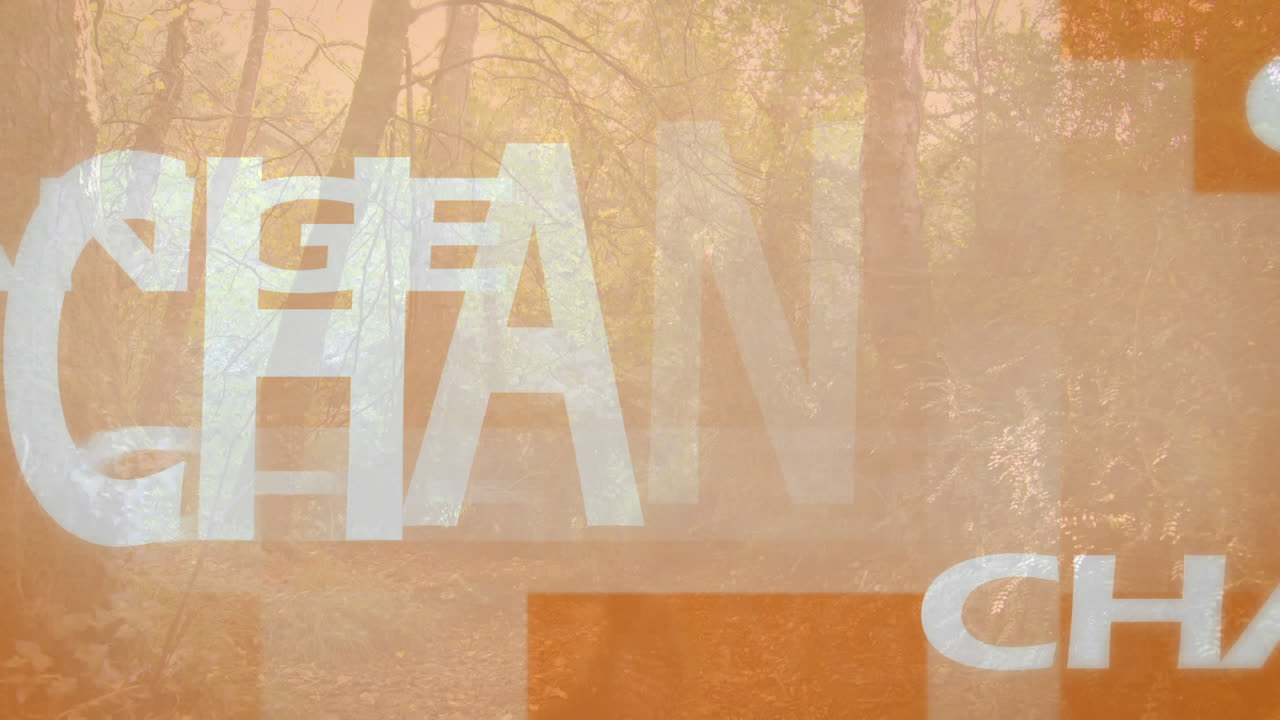 숲 위의 색 변경 텍스트의 애니메이션